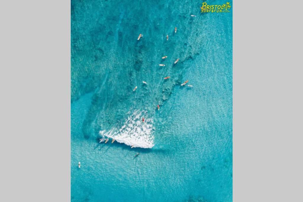 B-Rent Bristol Beach Surf & Fun Corralejo Bagian luar foto